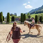 Narzissendorf Zloam Am Grundlsee