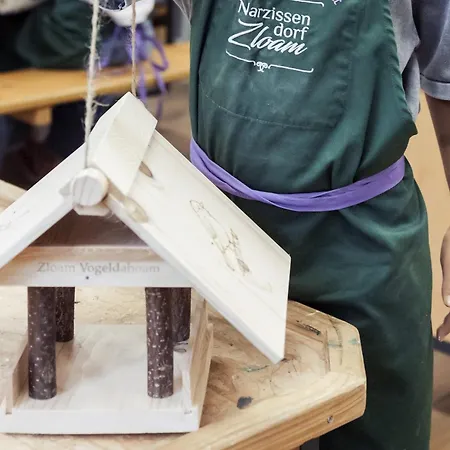 Narzissendorf Zloam Am Aparthotel Grundlsee