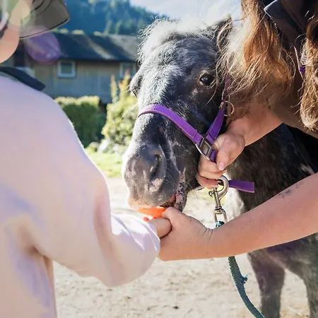 Narzissendorf Zloam Am 4*