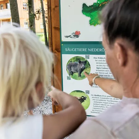 شقة فندقية Narzissendorf Zloam Am