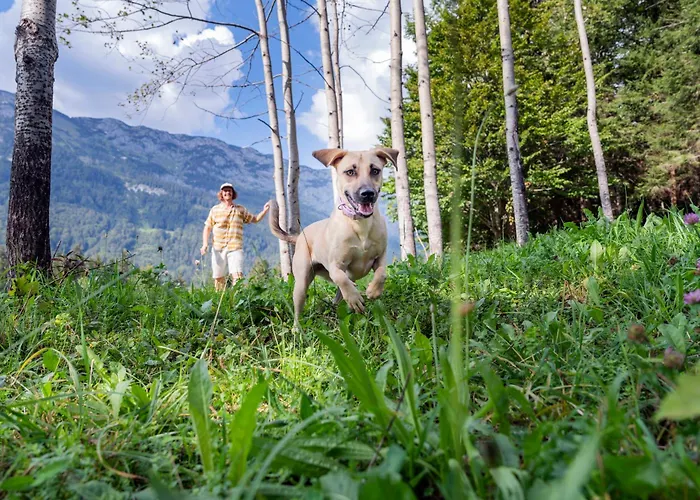 Narzissendorf Zloam Am Appart hôtel 4*