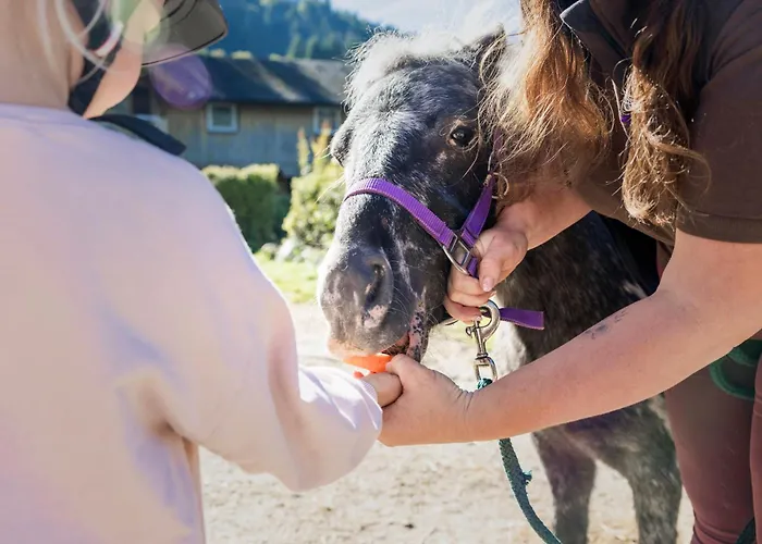 Narzissendorf Zloam Am 4*