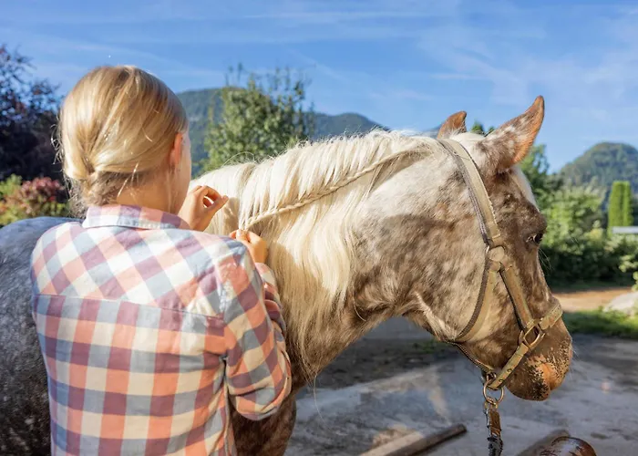 Narzissendorf Zloam Am