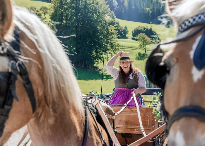 Narzissendorf Zloam Am